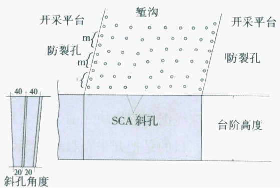 ed_1553925768329021.jpg 3.JPG